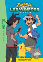 Pokémon les voyages, la série, 11, Pokémon Les Voyages 11 - Mystère au Parc Cerise