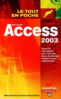 Access 2003, Microsoft