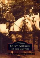 Saint-Ambroix et son canton