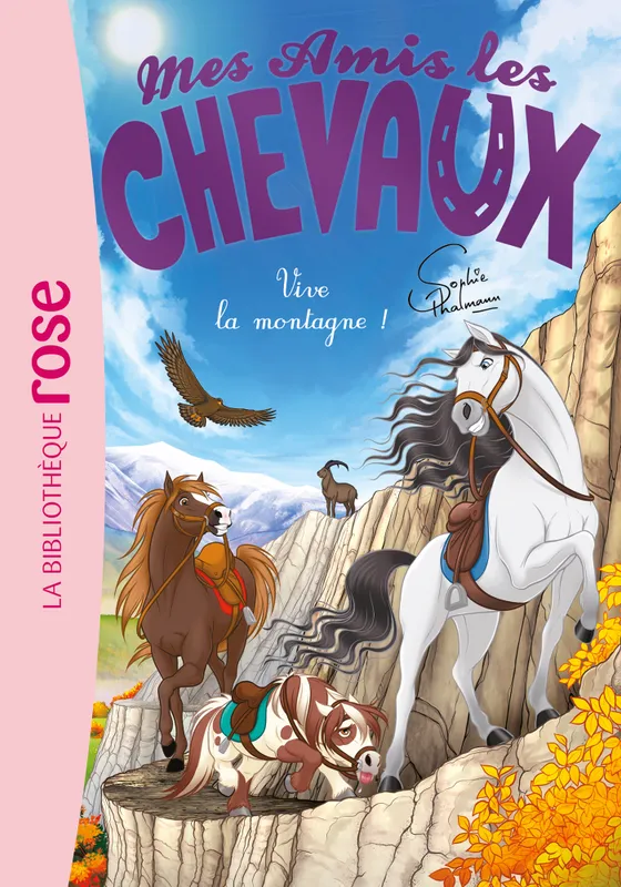 Jeux et Jouets Livres Livres pour les  6-9 ans Romans Mes amis les chevaux 33 - Vive la montagne !, Mes amis les chevaux Hachette Livre