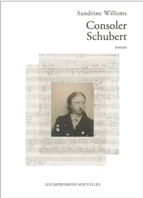Consoler Schubert, Roman