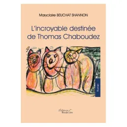 L'incroyable destinée de Thomas Chaboudez fiction