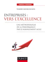 Entreprises : vers l'excellence - Une méthodologie de la performance par le management agile, Une méthodologie de la performance par le management agile