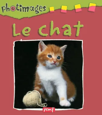 Photimages / Le chat