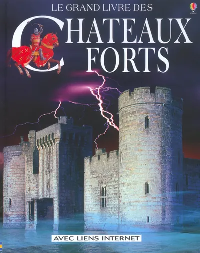 Livres Jeunesse de 6 à 12 ans Documentaires Histoire et civilisations Le grand livre des châteaux forts Lesley Sims