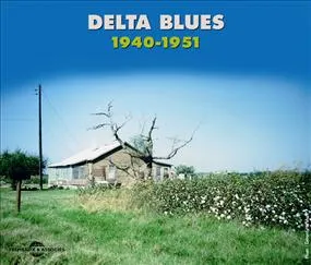 DELTA BLUES 1940 1951 BB KING WILLIE LOVE IKE TURNER ETC ANTHOLOGIE MUSICALE COFFRET DOUBLE CD AUDIO