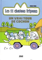 Les 11 chatons fripons, UN VRAI TOUR DE COCHON
