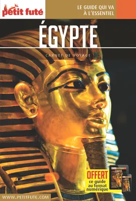Guide Egypte 2019 Carnet Petit Futé