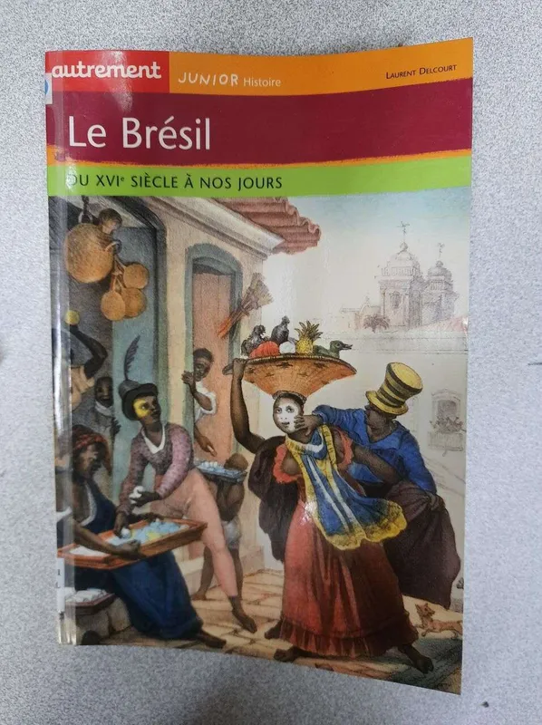 Livres Sciences Humaines et Sociales Sciences sociales Le Brésil, du XVIe siècle à nos jours Laurent Delcourt