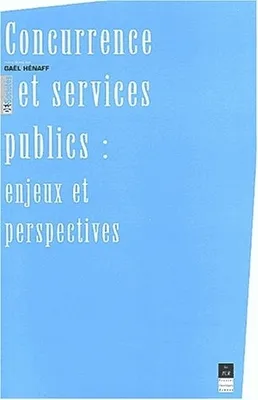 Concurrence et services publics, Enjeux et perspectives