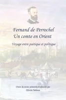 Fernand de Perrochel, Un comte en orient