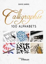 Calligraphie, 100 alphabets
