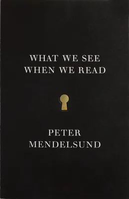 What we see when we read, A phenomenology with illustrations