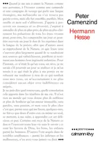 Peter Camenzind, récit