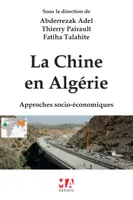 La Chine en Algérie, Approches socio-économiques