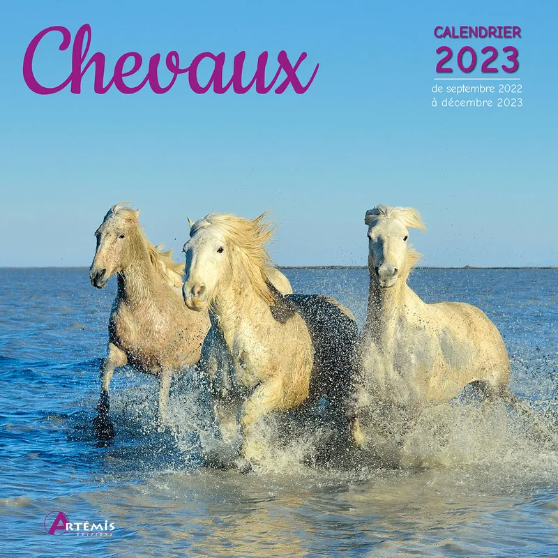 Calendrier chevaux 2023 - COLLECTIF - Le Bateau Livre
