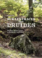 Sur les traces des druides, 50 lieux surprenants à découvrir en France