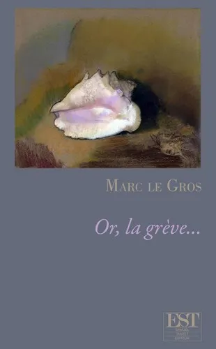 Livres Littérature et Essais littéraires Romans contemporains Francophones Or, la grève, Codicilles et repentirs Marc Le Gros