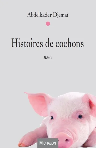Livres Littérature et Essais littéraires Romans contemporains Francophones Histoires de cochons Abdelkader Djemaï