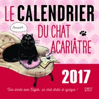 Le calendrier 2017 du chat acariâtre