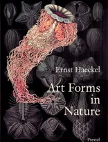 Ernst Haeckel Art Forms in Nature /anglais