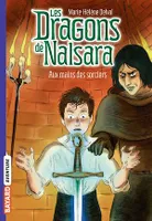 Les dragons de Nalsara, Tome 10, Aux mains des sorciers