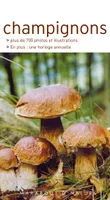 Les champignons, les reconnaître facilement sans se tromper