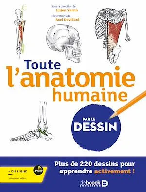 Toute l’anatomie humaine par le dessin, Plus de 220 dessins pour apprendre activement !