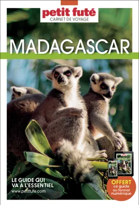 Guide Madagascar 2023 Carnet Petit Futé
