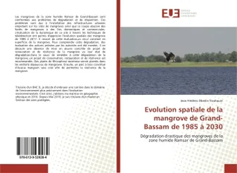 Evolution spatiale de la mangrove de Grand-Bassam de 1985 à 2030, Dégradation drastique des mangroves de la zone humide Ramsar de Grand-Bassam