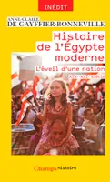 Histoire de l'Égypte moderne, L'éveil d'une nation (XIXe - XXIe siècle)
