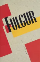 Fulgur, Grand roman d'aventures de police et d'épopée