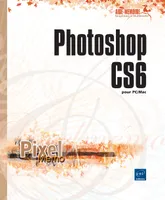 Photoshop CS6, Pour pc/mac