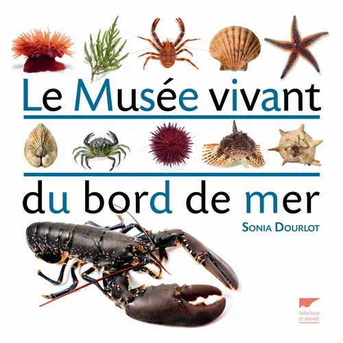 Livres Écologie et nature Écologie Le musée vivant du bord de mer Sonia DOURLOT