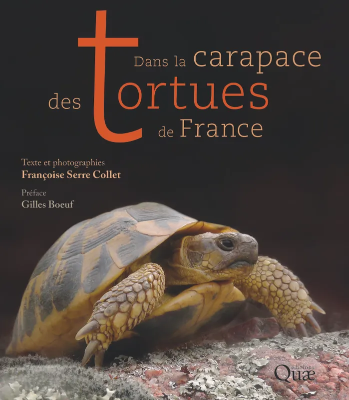 Livres Écologie et nature Nature Beaux Livres Dans la carapace des tortues de France, Préface Gilles Boeuf Françoise Serre-Collet