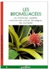 Les broméliacées, les meilleures variétés, comment les cultiver, les soigner, les multiplier