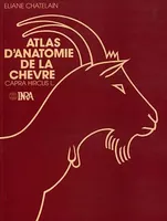 Atlas d'anatomie de la chèvre (Capra hircus L.)