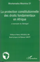 La protection constitutionnelle des droits fondamentaux en Afrique, L'exemple du Sénégal