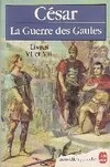 La guerre des Gaules (Livres VI et VII), livres VI-VII