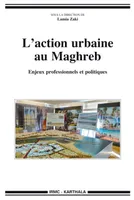 L'action urbaine au Maghreb - enjeux professionnels et politiques, enjeux professionnels et politiques