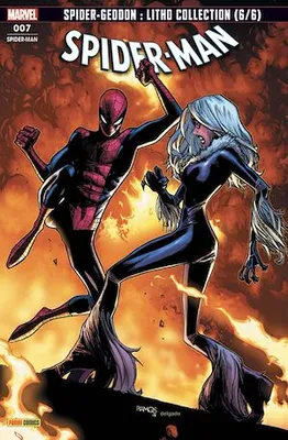Spider-Man (softcover) T07, Au voleur