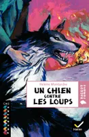 Facettes Bibliothèque CM2 - Un chien contre les loups - Roman historique