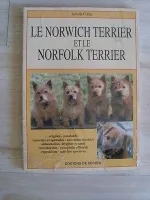Le norwich terrier et le norfolk terrier
