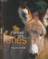 Portrait des ânes
