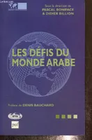 Les défis du monde arabe, [textes des 9e Conférences stratégiques annuelles de l'Institut de relations internationales et stratégiques, tenues à l'Institut du monde arabe, Paris, les 4 et 5 mai 2004]