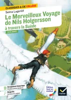 Le Merveilleux Voyage de Nils Holgersson à travers la Suède, suivi d'un groupement thématique : « Héroïnes et héros miniatures »