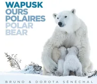 WAPUSK - OURS POLAIRES - POLAR BEAR