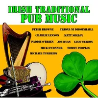 Irish traditionnal pop music
