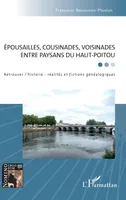 Épousailles, cousinades, voisinades entre paysans du Haut-Poitou, Retrouver l'histoire : réalités et fictions généalogiques