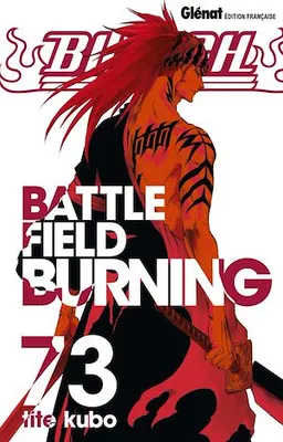 Bleach - Tome 73, Battlefield burning